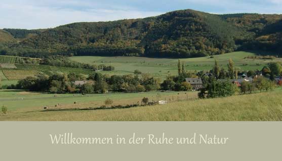 Wein- und Ferienort Burgen